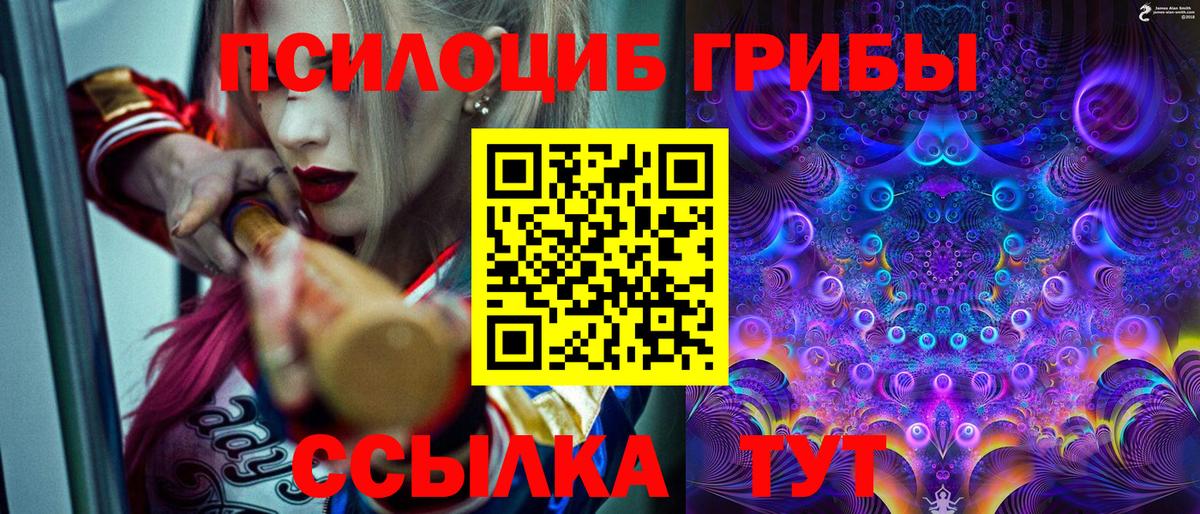 Галлюциногенные грибы мицелий  купить наркотик  Орск  Вход с VPN 
